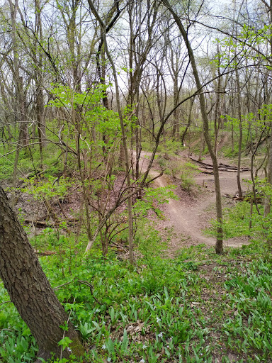 Park «Mather Woods Forest Preserve», reviews and photos, 25032 W Renwick Rd, Plainfield, IL 60544, USA