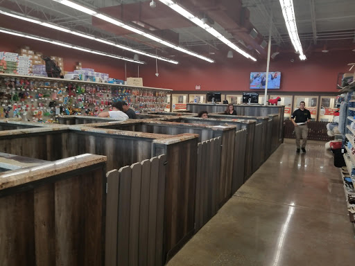 Pet Store «Petland», reviews and photos, 10289 Ulmerton Rd, Largo, FL 33771, USA