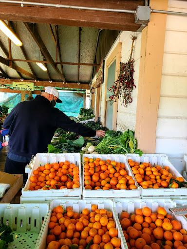 Produce Market «Green String Farm», reviews and photos, 3571 Old Adobe Rd, Petaluma, CA 94954, USA
