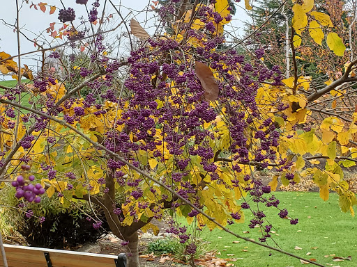 Park «Heritage Park», reviews and photos, 111 Waverly Way, Kirkland, WA 98033, USA