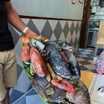 Photo n°1 de l'avis de Simon.o fait le 10/06/2022 à 13:45 sur le  Restaurante O Lourenço à Salema