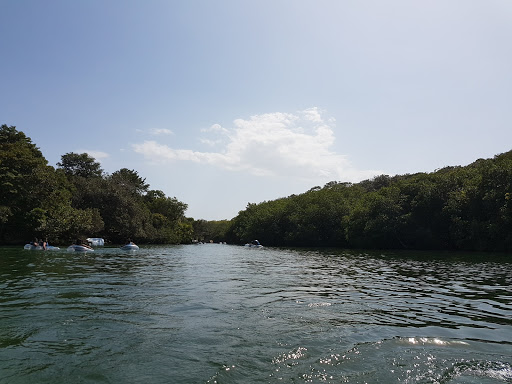 Sitios que ver Cancun