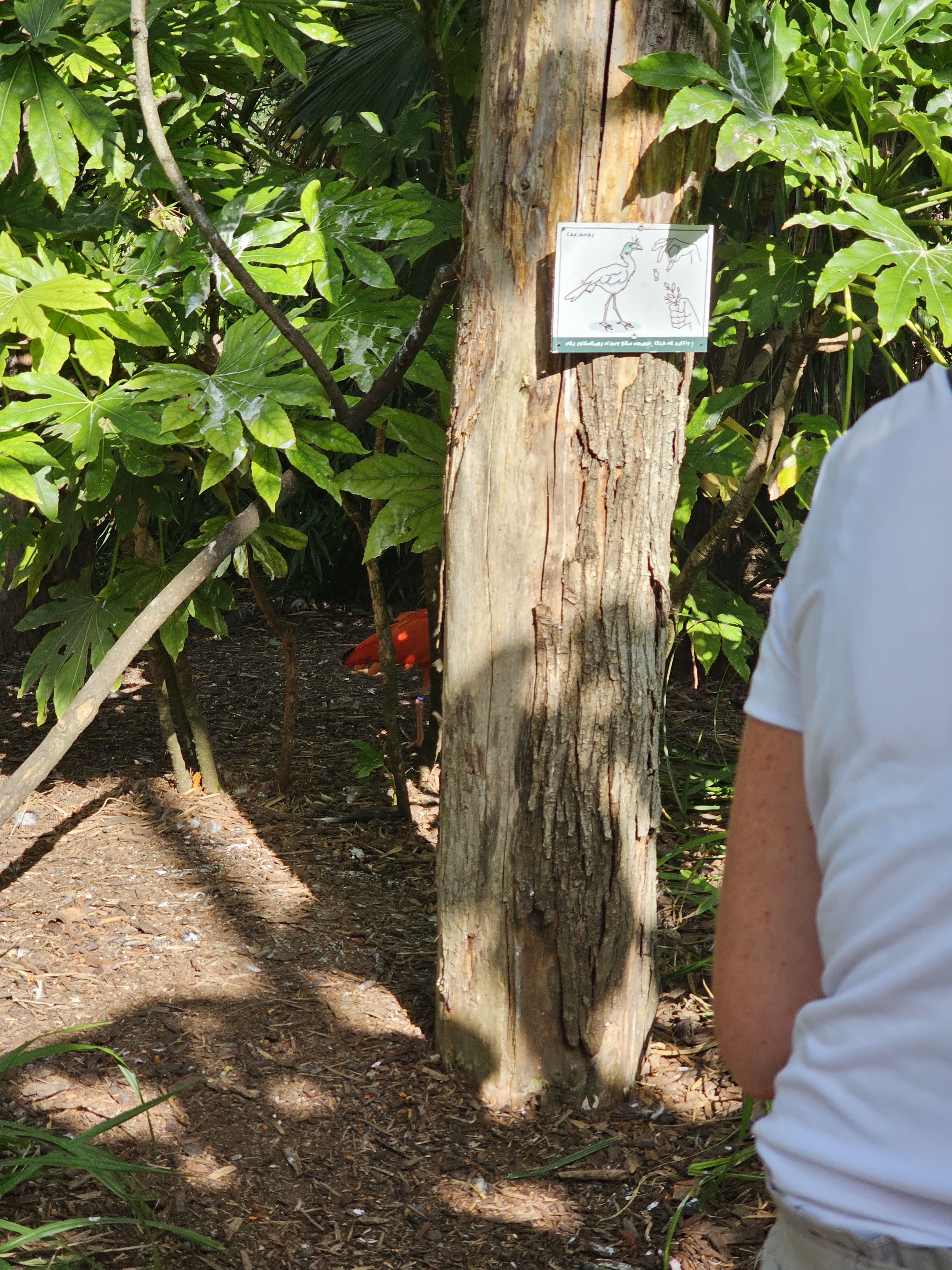 Photo n° 5 de l'avis de Marlene.U fait le 15/08/2023 à 20:08