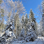Photo n°5 de l'avis de Angela.c fait le 07/03/2021 à 12:08 sur le  Bäckeralm, Adlgass à Inzell