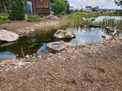 Sporting Goods Store «Bass Pro Shops», reviews and photos, 13012 Bass Pro Dr, Colorado Springs, CO 80921, USA