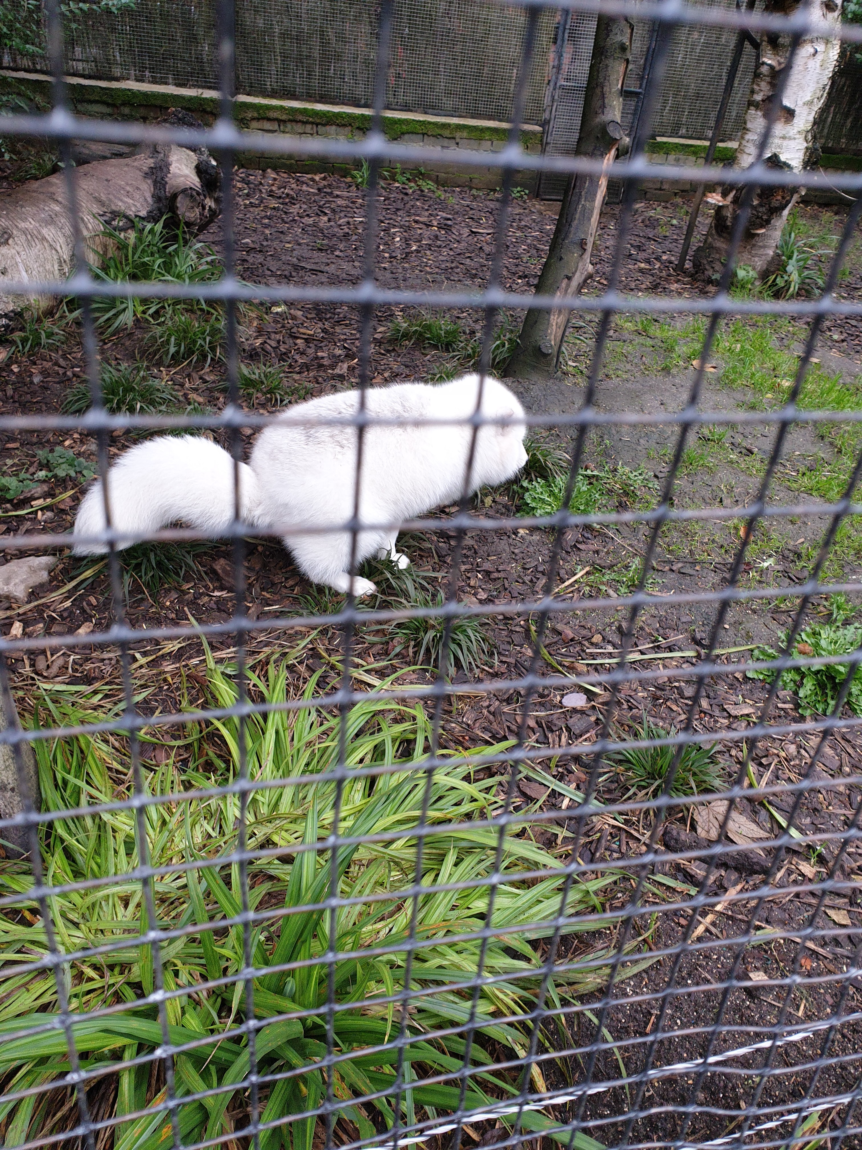 Photo n° 13 de l'avis de Jeremy.e fait le 11/07/2021 à 09:11