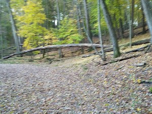 Kleinstuck Preserve - photo 41