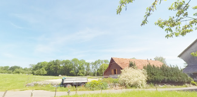 Rezensionen über Scherrer + Gerber GmbH in Kreuzlingen - Zimmermann