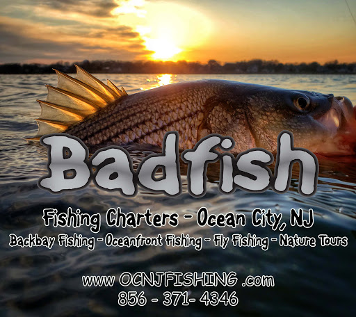 Fishing Charter «Badfish Fishing Charters», reviews and photos, 680 Bay Ave, Somers Point, NJ 08244, USA
