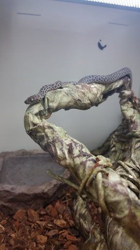 Pet Supply Store «Pet Supplies Plus», reviews and photos, 4250 N Alafaya Trail #240, Oviedo, FL 32765, USA