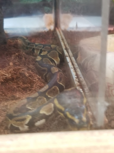 Pet Supply Store «Petco Animal Supplies», reviews and photos, 3380 124th Ave NW, Coon Rapids, MN 55433, USA