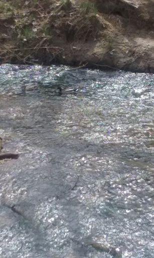 Park «Getzendaner Park», reviews and photos, 400 S Grand Ave, Waxahachie, TX 75165, USA