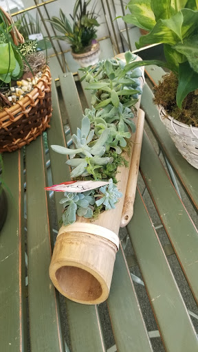 Florist «The Flower Box», reviews and photos, 1755 20th St, Vero Beach, FL 32960, USA