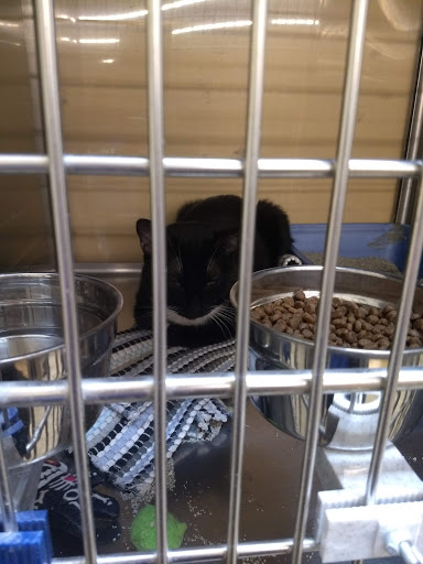 Pet Supply Store «PetSmart», reviews and photos, 8281 Troy Pike, Huber Heights, OH 45424, USA