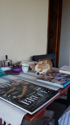 Photos des visiteurs Bed & Breakfast al buen retiro da lauraB&B 40030 Castel di Casio