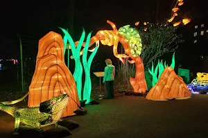 China Lights Kölner Zoo image
