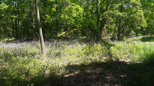 Nature Preserve «Asylum Lake Preserve», reviews and photos, 3836 S Drake Rd, Kalamazoo, MI 49008, USA