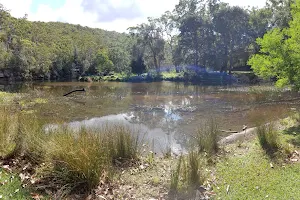 Wattle Forest picnic area image