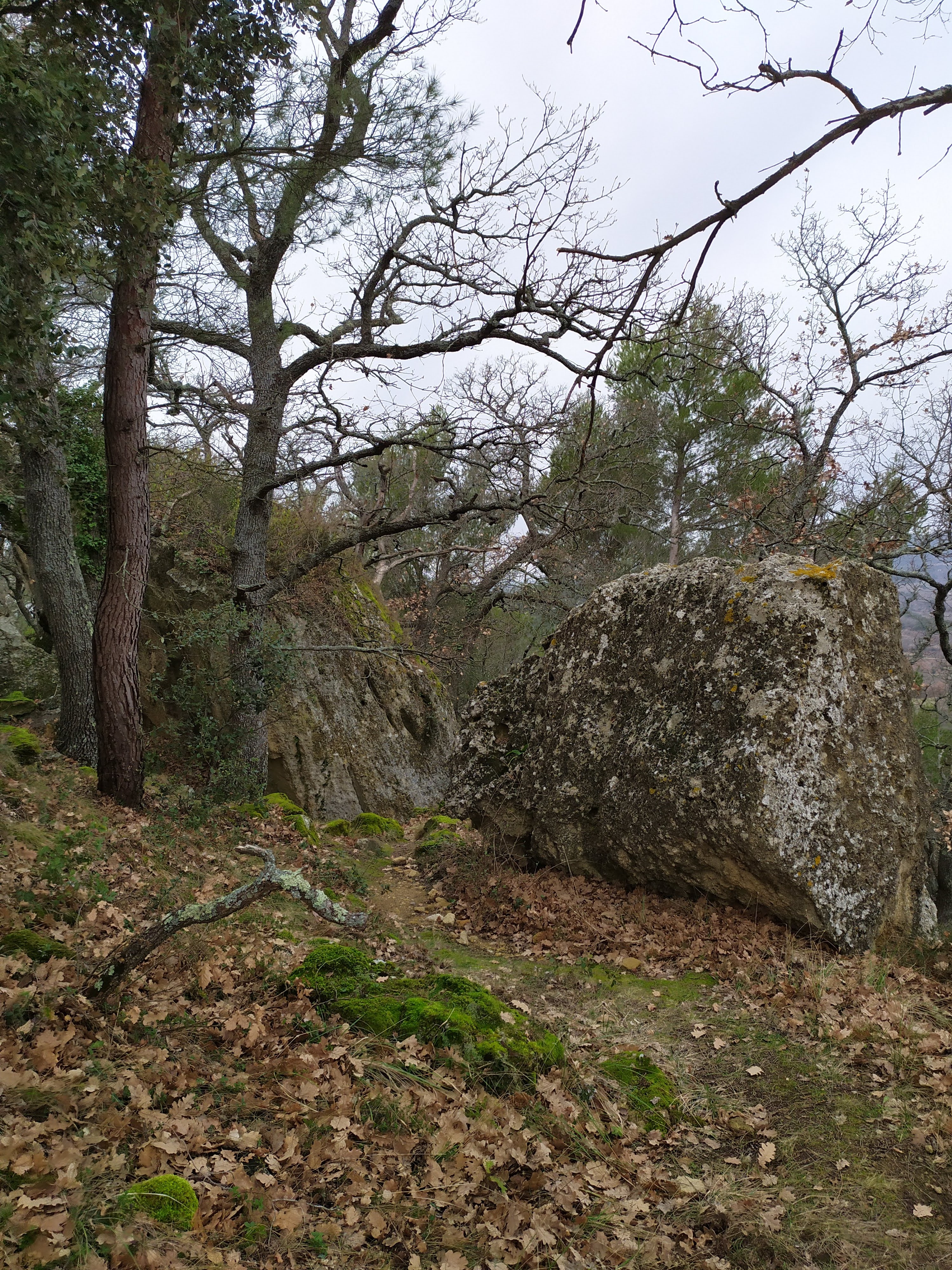 Photo n° 2 de l'avis de Guy.a fait le 05/02/2021 à 09:44