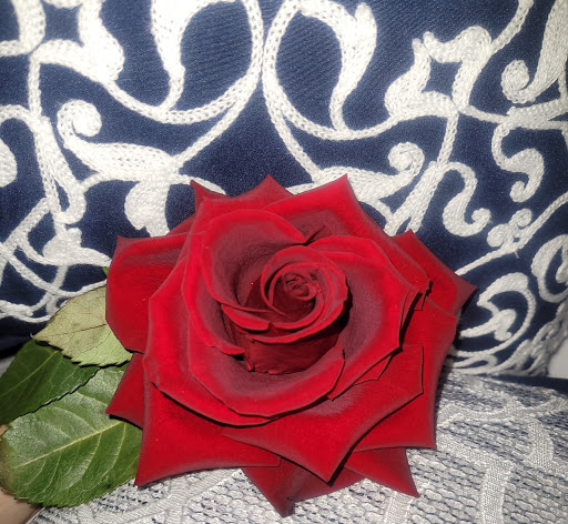 Florist «Beacon Woods Florist», reviews and photos, 8139 FL-52, Bayonet Point, FL 34667, USA