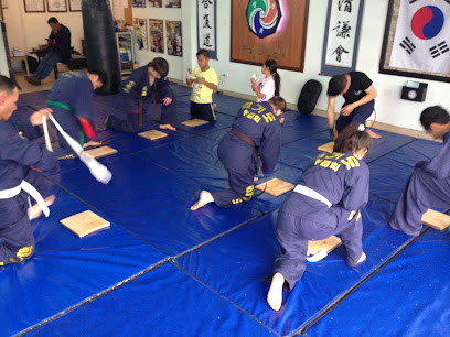 ACADEMIA DE HAPKIDO