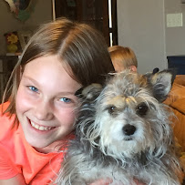 Memorial Road Pet Hospital - Photo 9 - Car repair in Edmond, OK, Oklahoma City