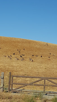 Hayward Lumber - Photo 7 - Car repair in Redwood City, CA, San Mateo