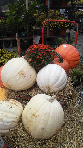 Produce Market «Hudson Farmers Market», reviews and photos, 3437 John F. Kennedy Blvd, Jersey City, NJ 07307, USA