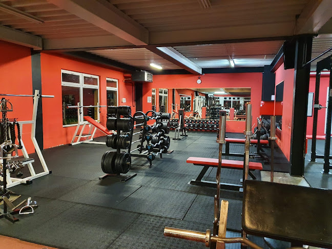 Értékelések erről a helyről: METROFLEX GYM & Fitness, Nagykanizsa - Edzőterem