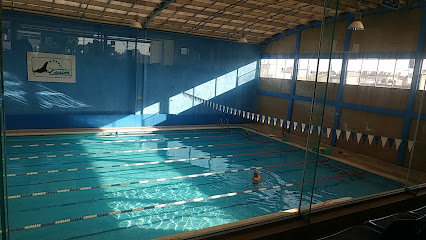 Swim Escuela de Natación Puebla - C. 2 Sur 5110, San Baltazar Campeche, 72550 Puebla, Pue., Mexico