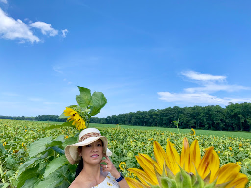 Fruit and Vegetable Store «Henley Farm», reviews and photos, 3513 Charity Neck Rd, Virginia Beach, VA 23456, USA
