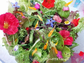 Meadowsweet Herbs & Flowers