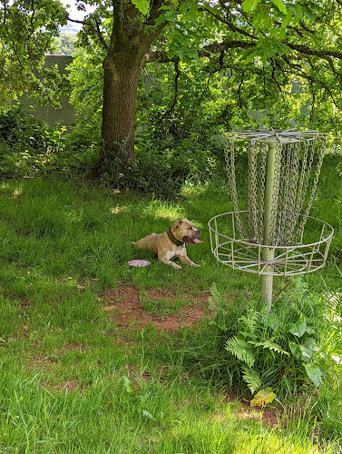 Comments and reviews of Ashton Court Advanced Disc Golf Course - Paul McBeef's favourite course