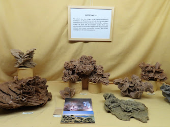 Mineralogisch Museum Grou