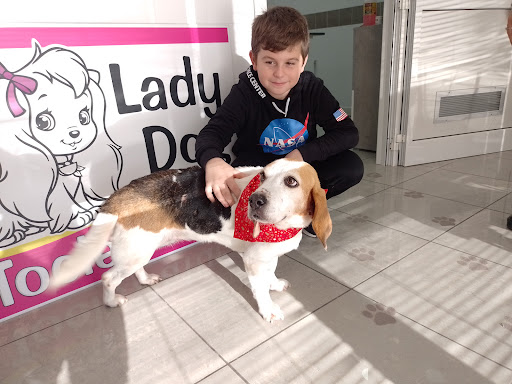 Pensioni per cani e dog hotel a Lady Dog