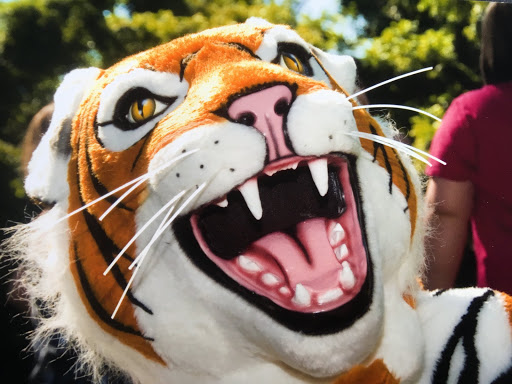 Law Firm «Dyer, Garofalo, Mann & Schultz», reviews and photos