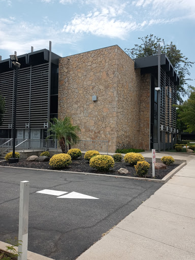 Daniel Martin Insurance & Registration Services image