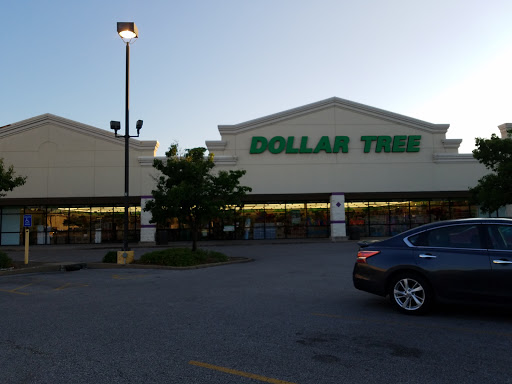 Dollar Store «Dollar Tree», reviews and photos, 13932 Manchester Rd, Ballwin, MO 63011, USA