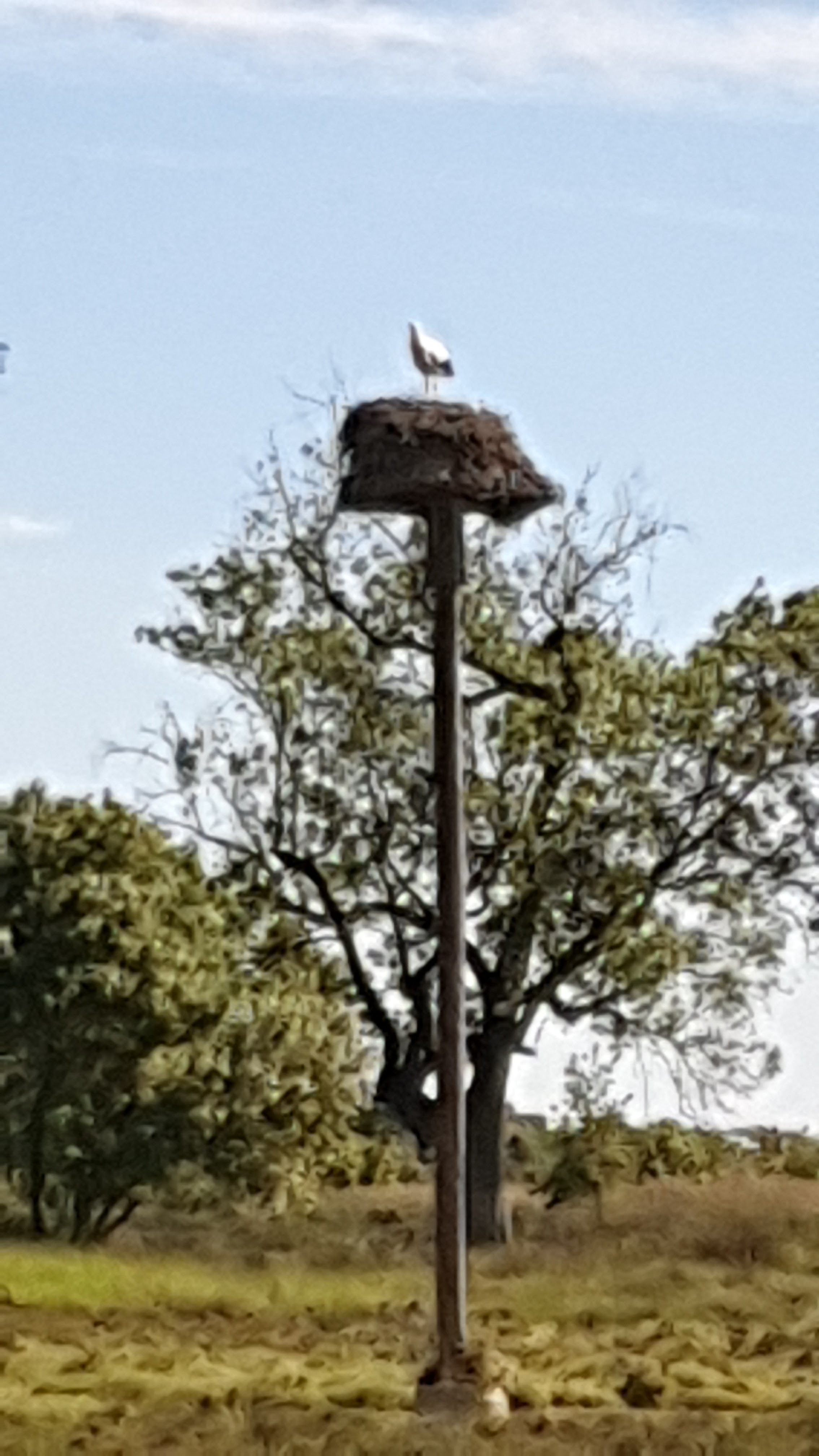 Photo n° 2 de l'avis de Michele. fait le 30/04/2019 à 07:10