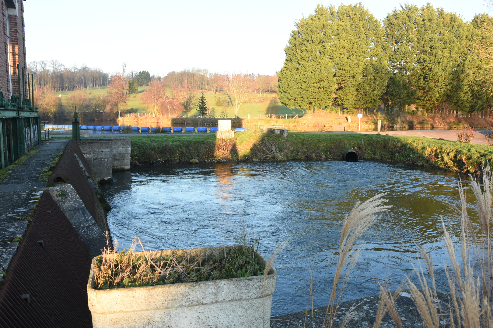 Photo n° 5 de l'avis de Luc.a fait le 10/01/2021 à 17:35