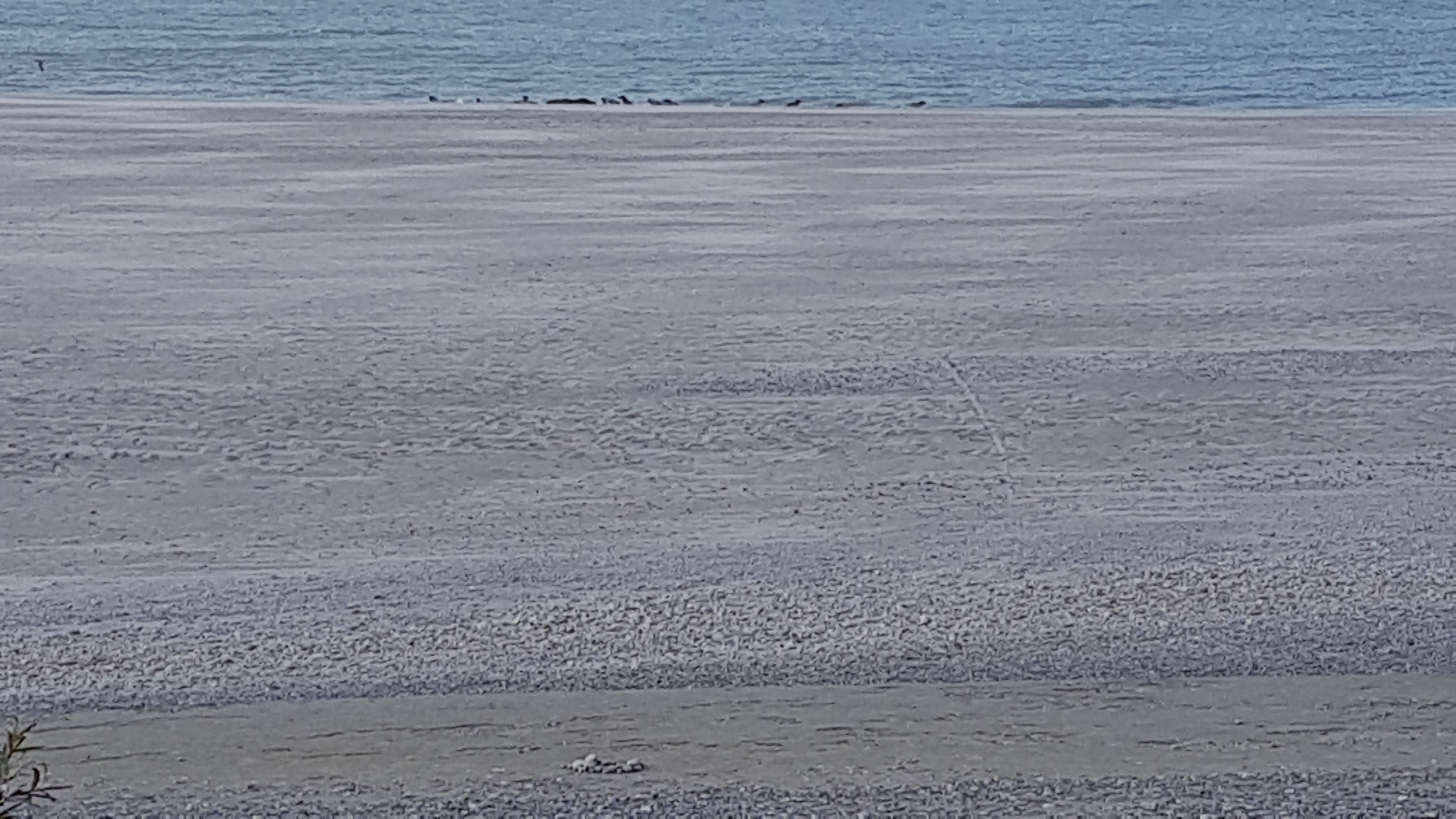 Photo n° 2 de l'avis de Chantal.e fait le 05/10/2019 à 00:03