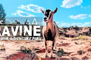 The Ravine Adventure Park image