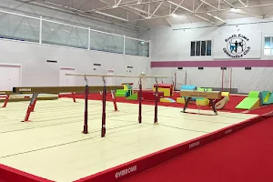 South Essex Gymnastics Club image