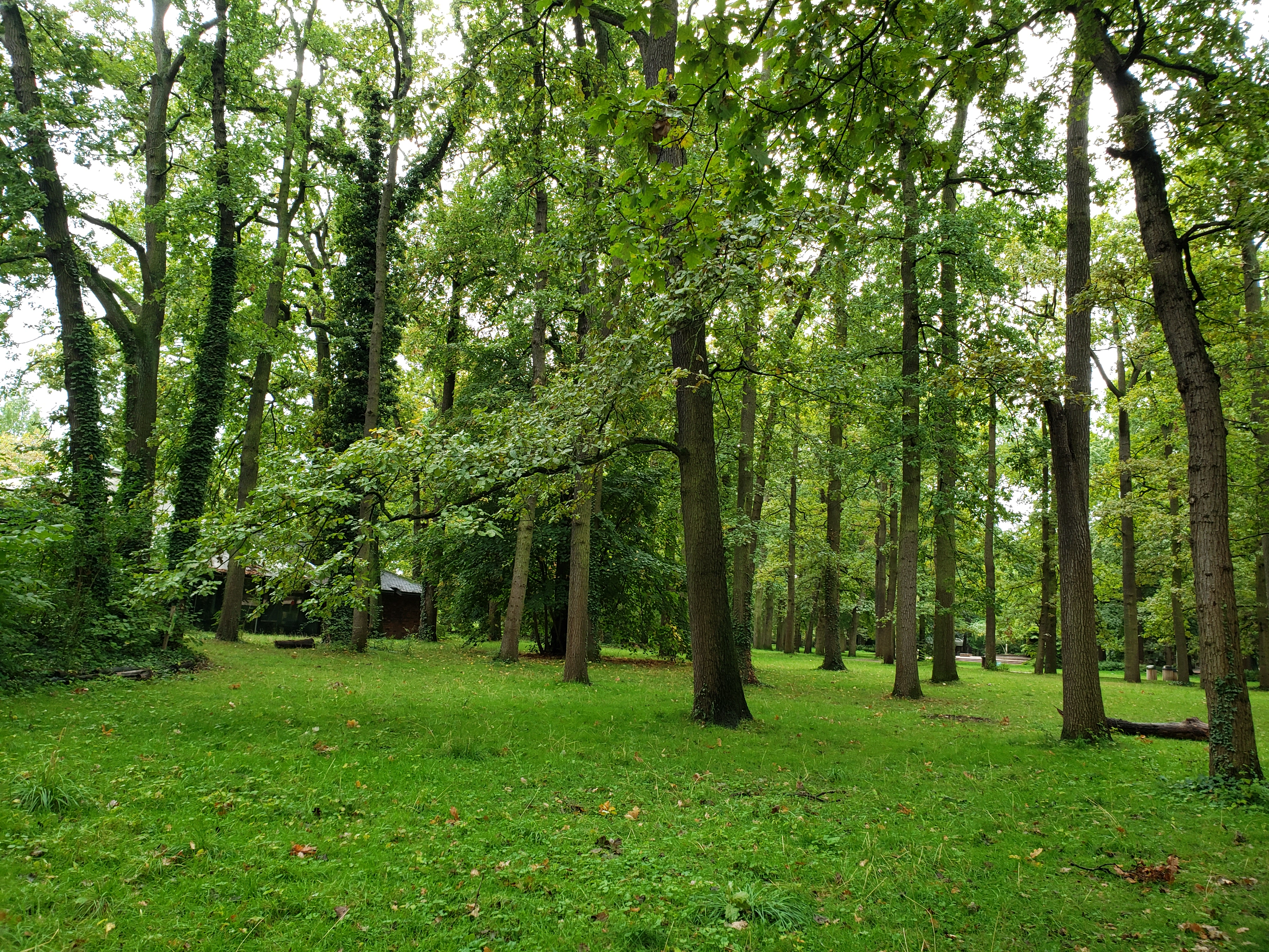 Photo n° 5 de l'avis de Alexandra.a fait le 26/09/2019 à 01:56