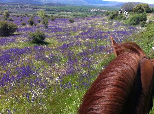 Centro Hípico Buitrago en Buitrago del Lozoya, Madrid