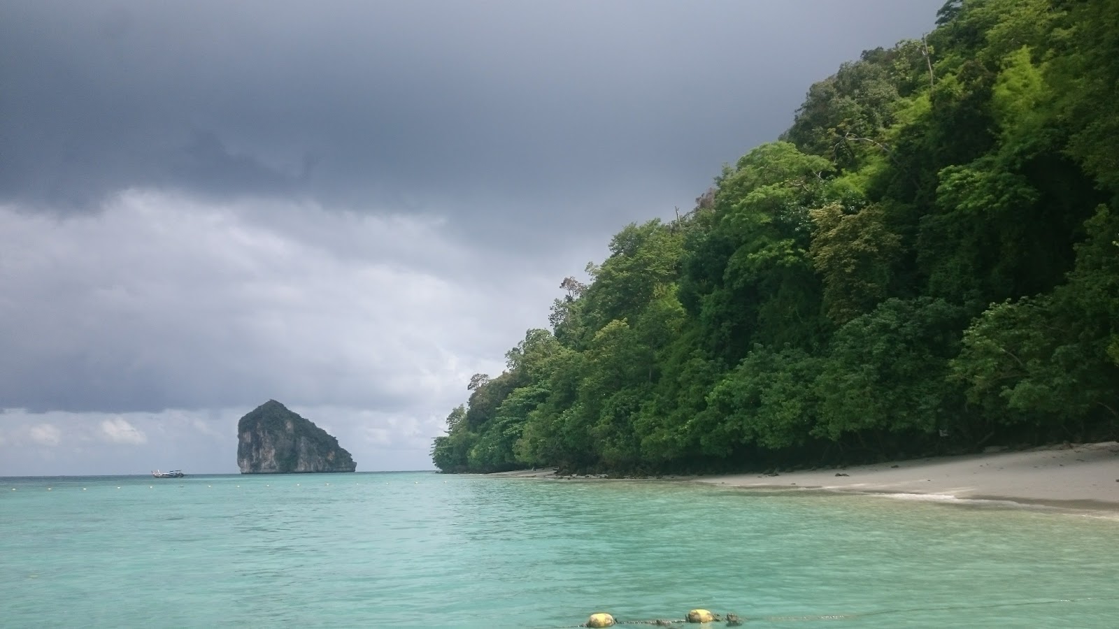 Photo de Chicken island Beach II situé dans une zone naturelle