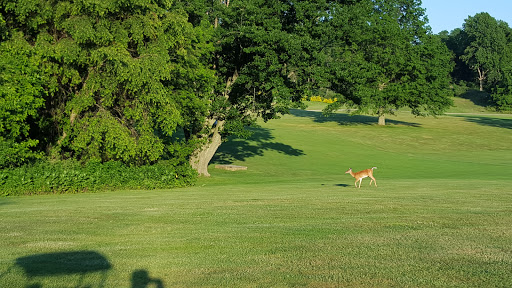 Golf Course «Northport Golf Course», reviews and photos, 79 Middleville Rd, Northport, NY 11768, USA