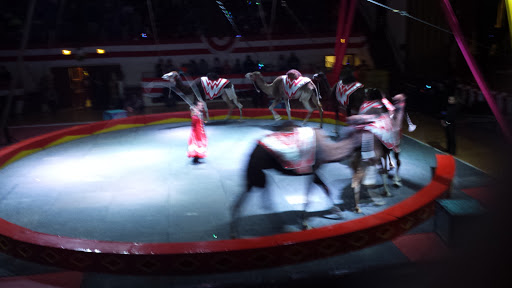 Shrine «Zembo Shrine Event Complex», reviews and photos, 2801 N 3rd St #2, Harrisburg, PA 17110, USA