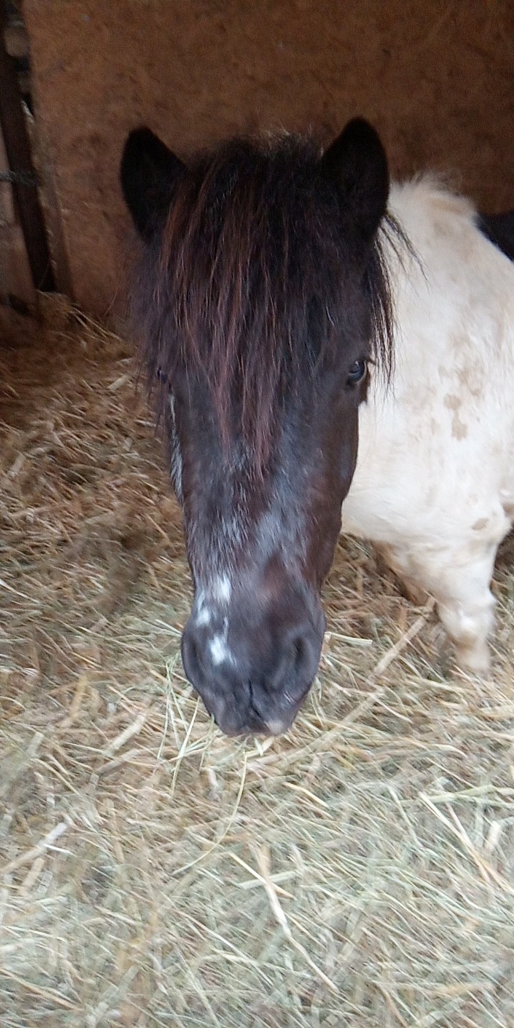 Photo n° 15 de l'avis de Cavalière.' fait le 30/06/2019 à 18:26