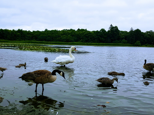 Zoo «Buttonwood Park Zoo», reviews and photos, 425 Hawthorn St, New Bedford, MA 02740, USA